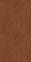 Corten Rust - 2034