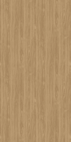 Golden Elm - 2043