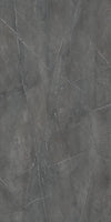Grey_Caspio - 823